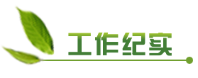 工作纪实