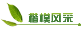 楷模风采
