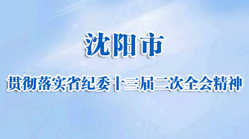 沈阳市贯彻落实省纪委十三届二次全会精神