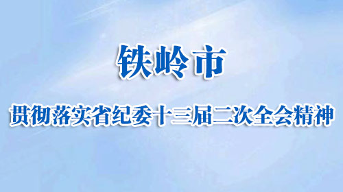 铁岭市贯彻落实省纪委十三届二次全会精神