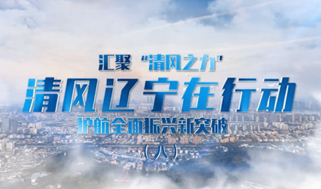 汇聚“清风之力” 清风辽宁在行动（八）
