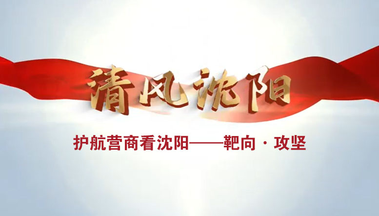 视频 | 清风沈阳：护航营商看沈阳——靶向·攻坚